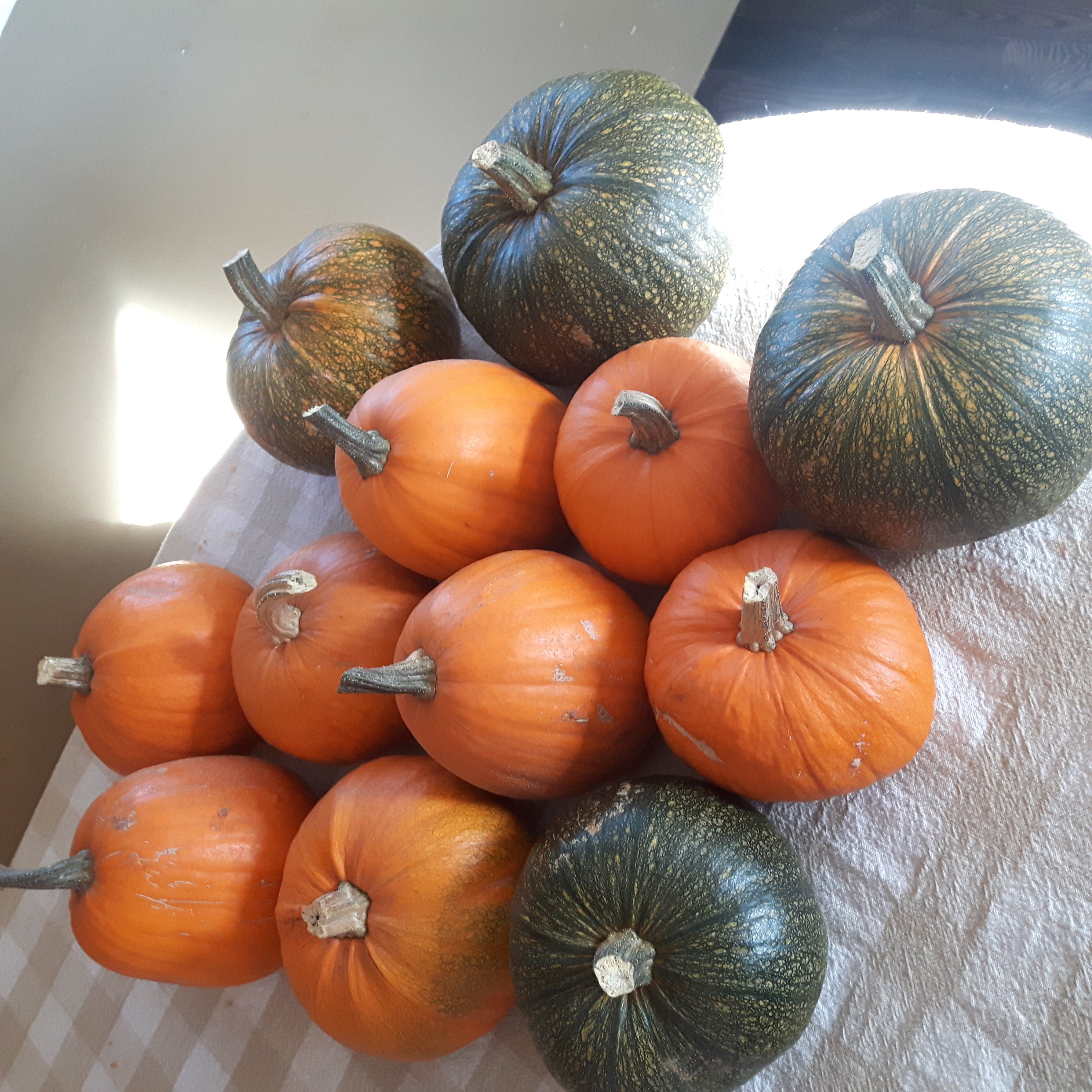 20181010_093259.jpg