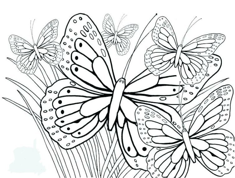 Butterfly Stencil 25.jpg