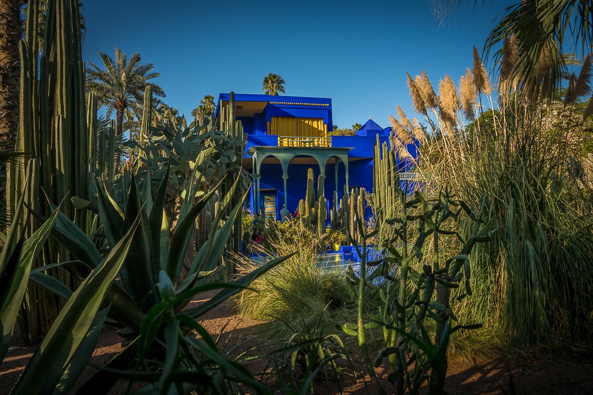 Les Jardins de la Majorelle 8.jpg