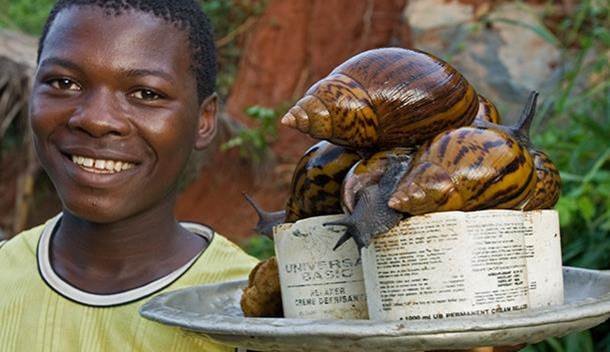 snail_farming_-_snail_seller.jpg