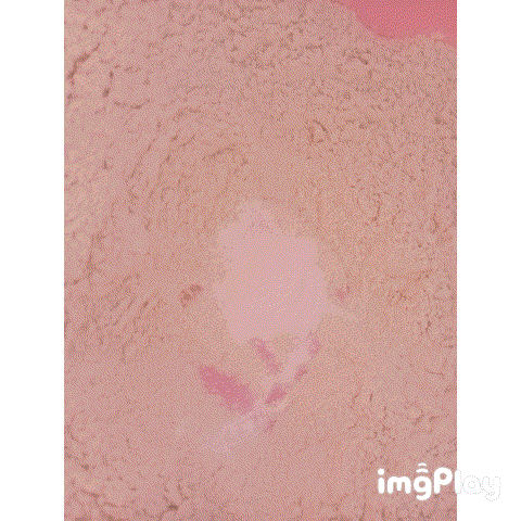 1000630492.gif