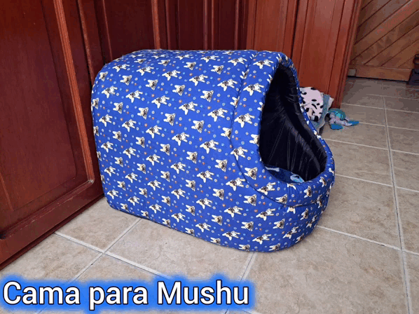 1000029941.gif