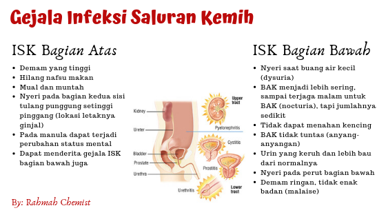 gejala infeksi saluran kemih