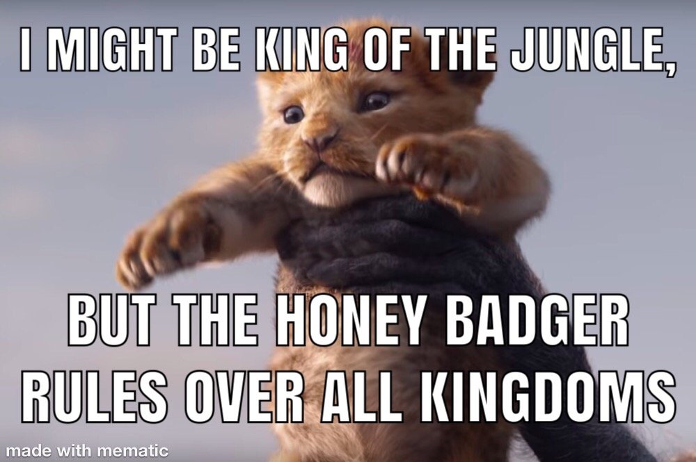Honey Badger Meme Challenge 133 Entry 2 Steempeak