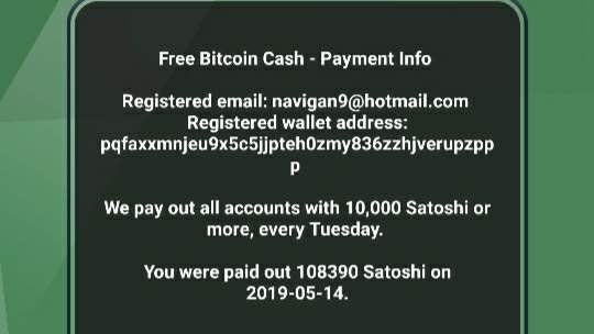 My First Payout From Free Bitcoin Cash Partiko - 