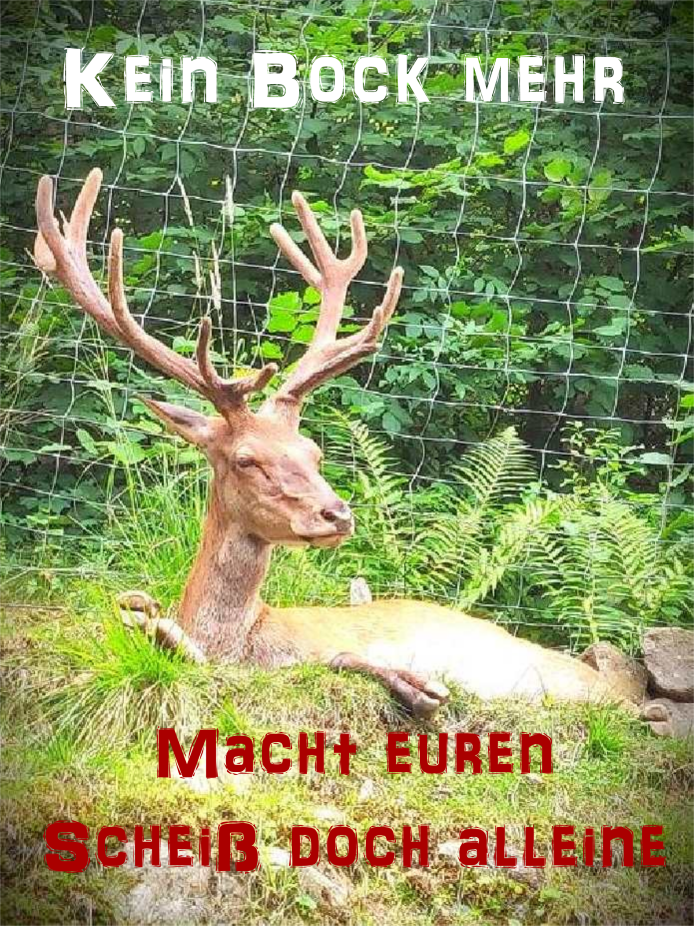 s_7867510D5121E49EAECC45325A45FFFD551BB44F4FDDF77C43BB1B2AF8FC5C0C_1534309192352_Hirsch.png