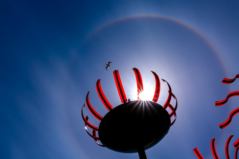 AMAZING SEATTLE PHOTO GALLERY PROFESSIONAL PHOTO