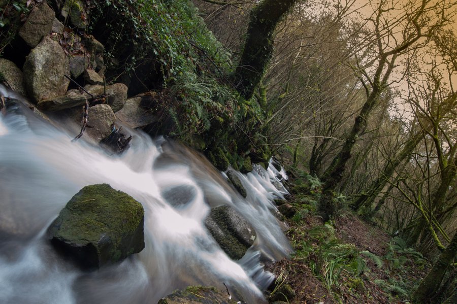 Down creek by Paloma Trujillo on 500px.com