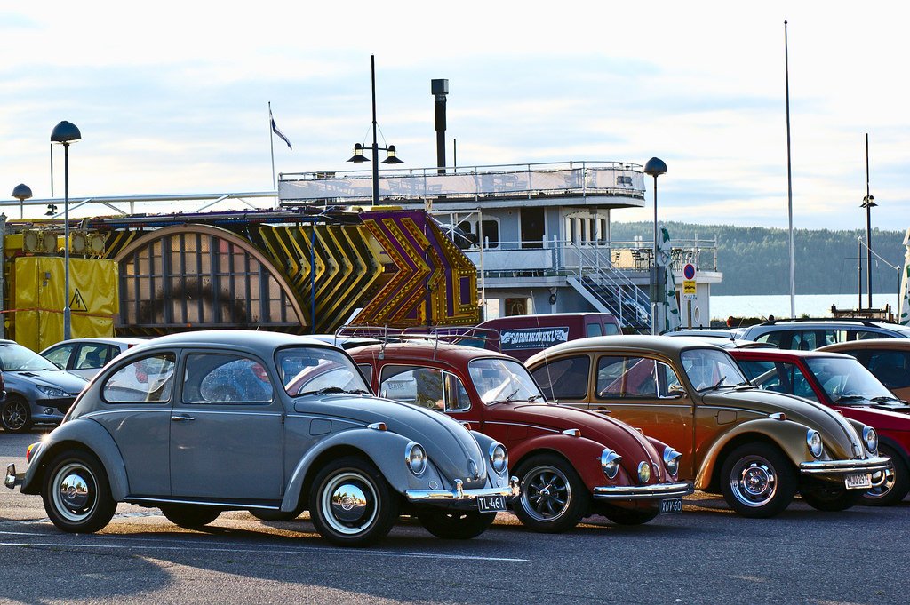 One photo every day: Three Beetles (64/365)