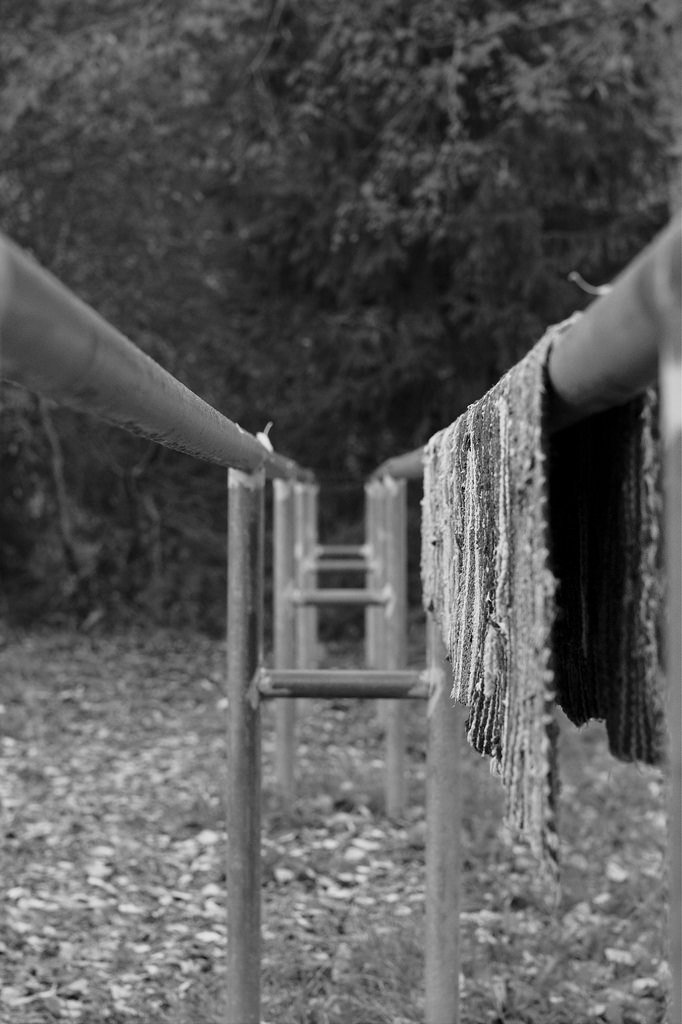 Just hangin', said the carpet (103/365)