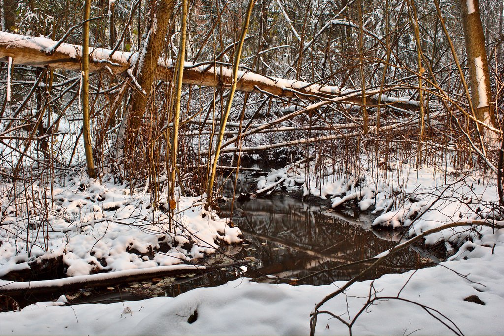 Winter stream (125/365)