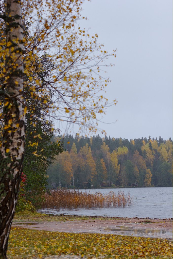 Takkulanpohja beach, Alasenjärvi (108/365)