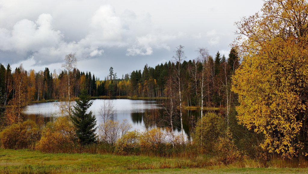 Tranquil landscape in central Finland (105/365)