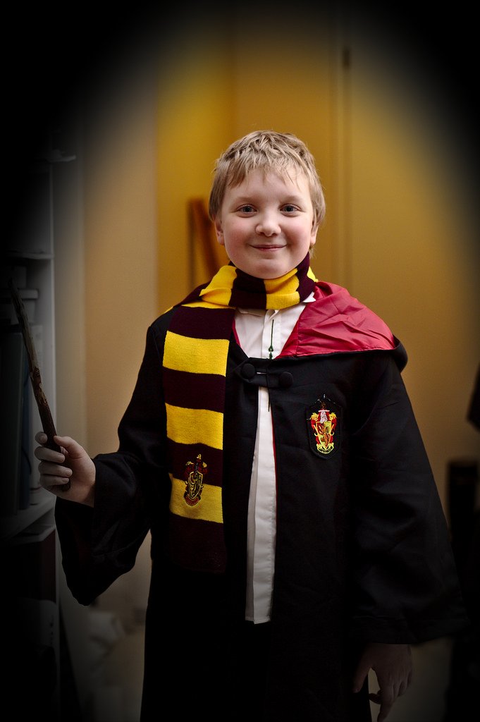 Gryffindor / Rohkelikko (167/365)