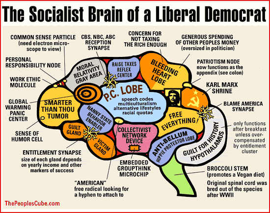 Brain Of A Liberal
