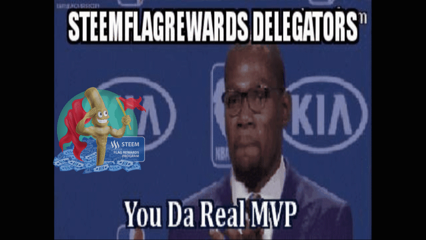 SFR_Delegator_You_Da_Real_MVP.gif