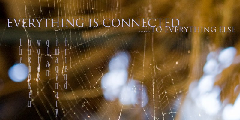 everythingisconnected.jpg