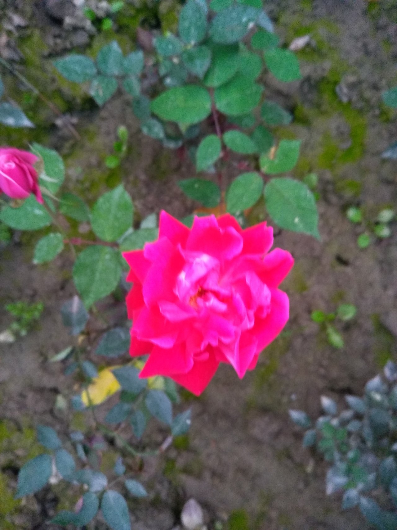 IMG_20200216_175704.jpg