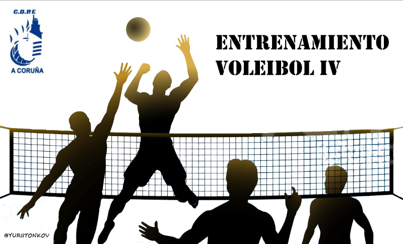 articulos para voleibol