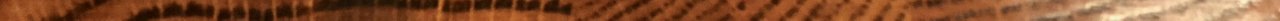 IMG_2033 2.jpeg