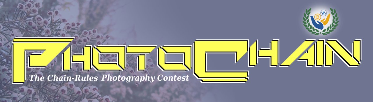 PHOTOCHAIN BANNER.jpg