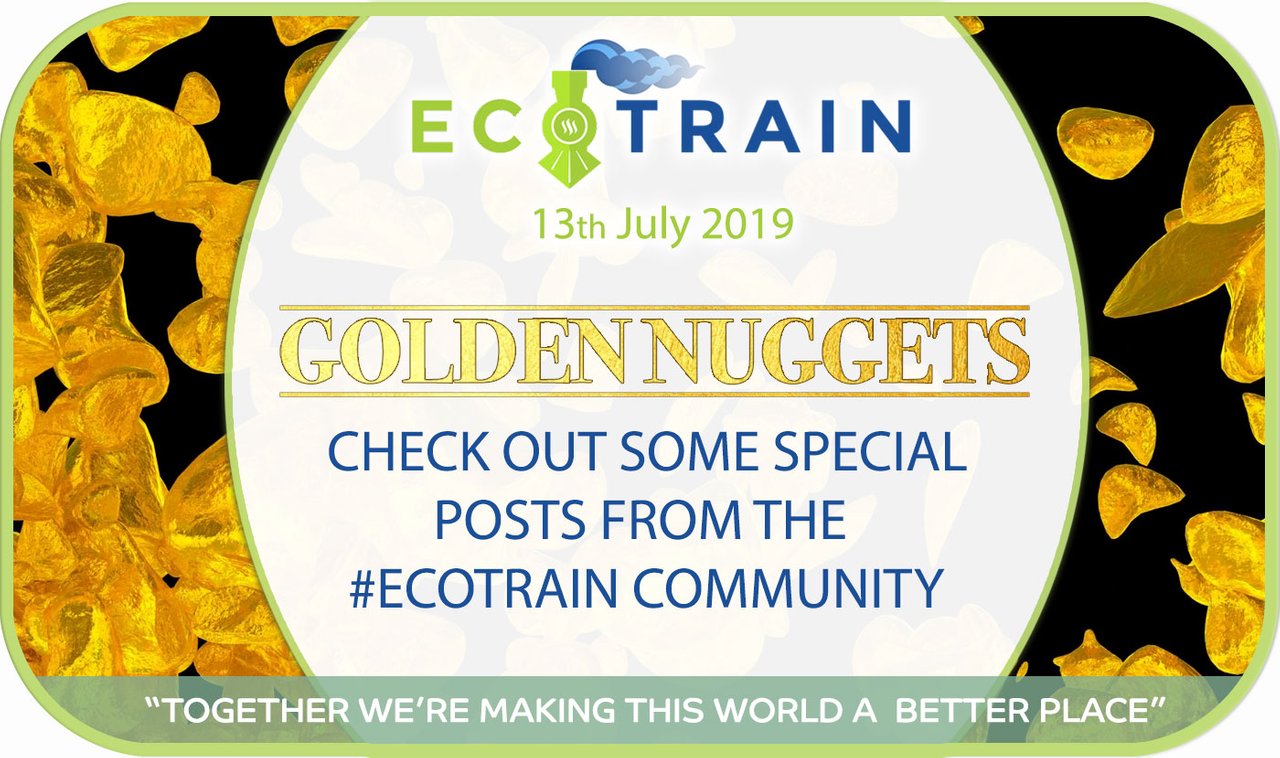 The Golden Nuggets: Highlights of the ecoTrain tag this week!
