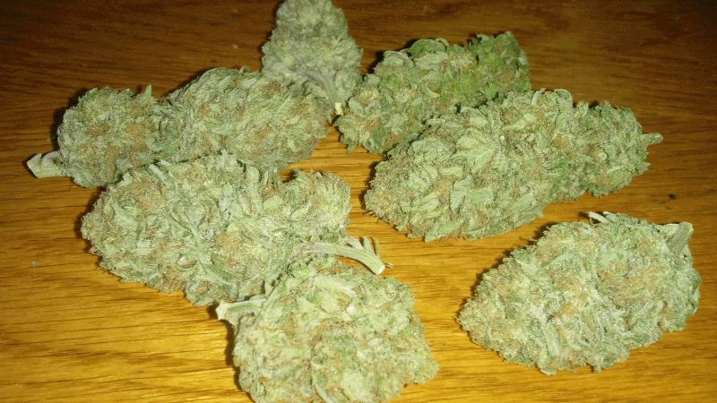anigif420.gif
