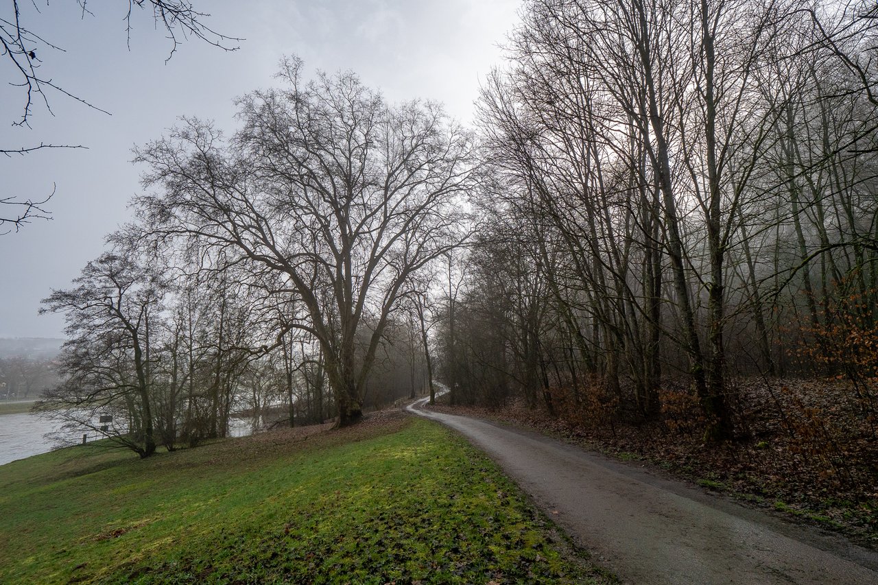 P1485315.jpg