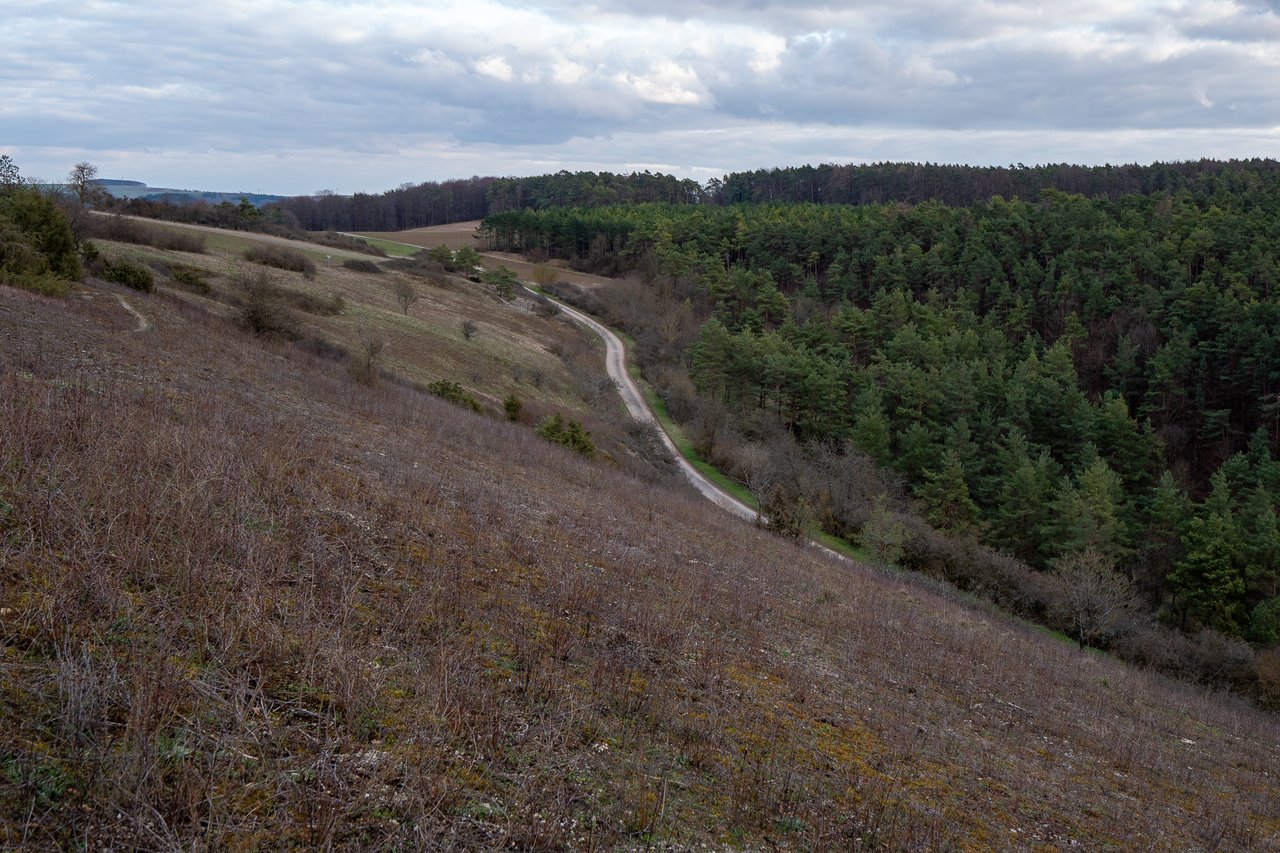 Wolfental_P1485409.jpg