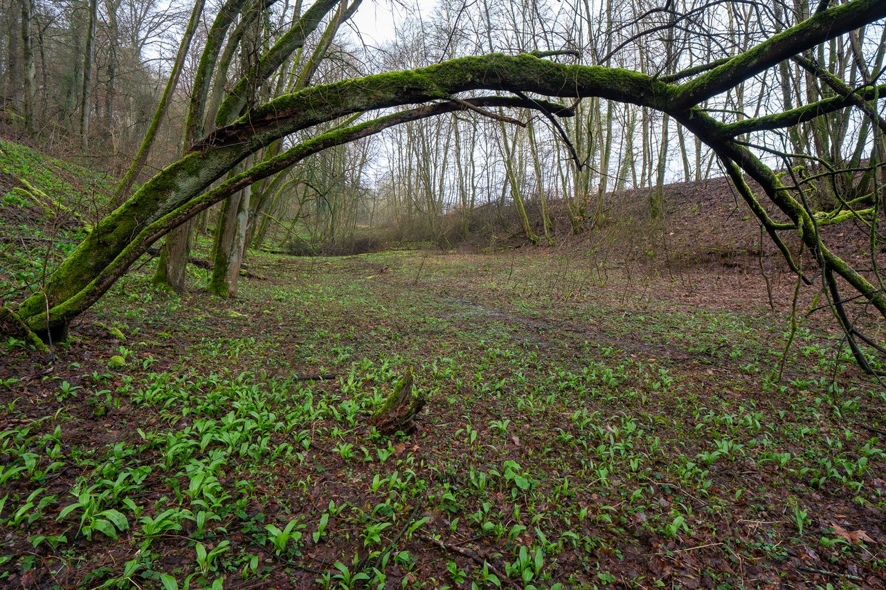 P1485340.jpg