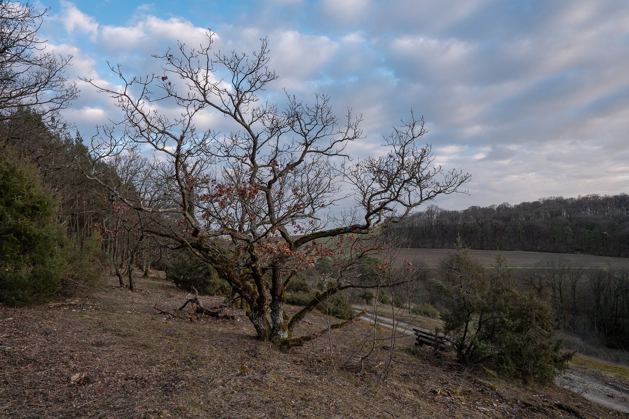 Elsberg_P1485570.jpg