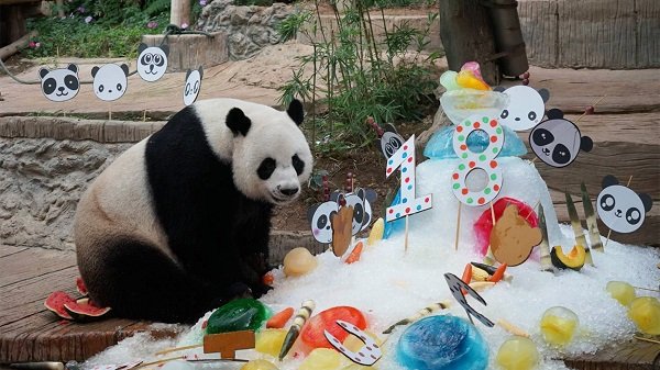 CHUANGCHUANG_Header1.jpg