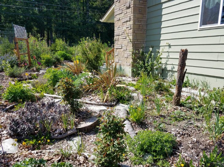 frontgarden.jpg