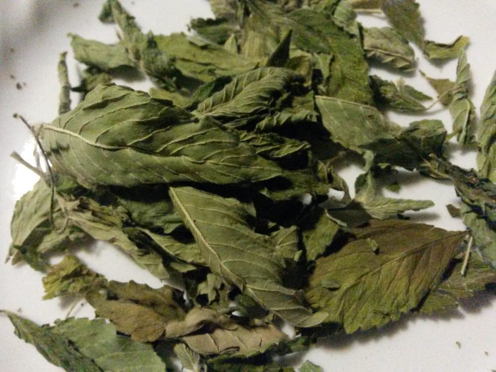 nettleleaves1000x750.jpg