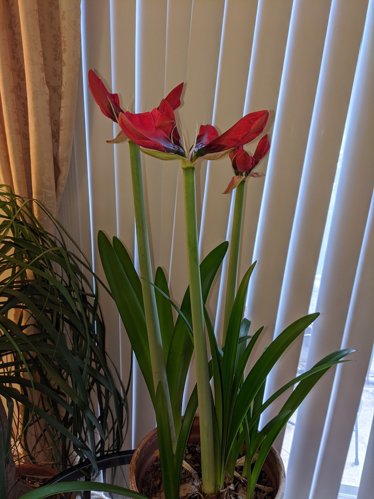 IMG_20200315_151105.jpg