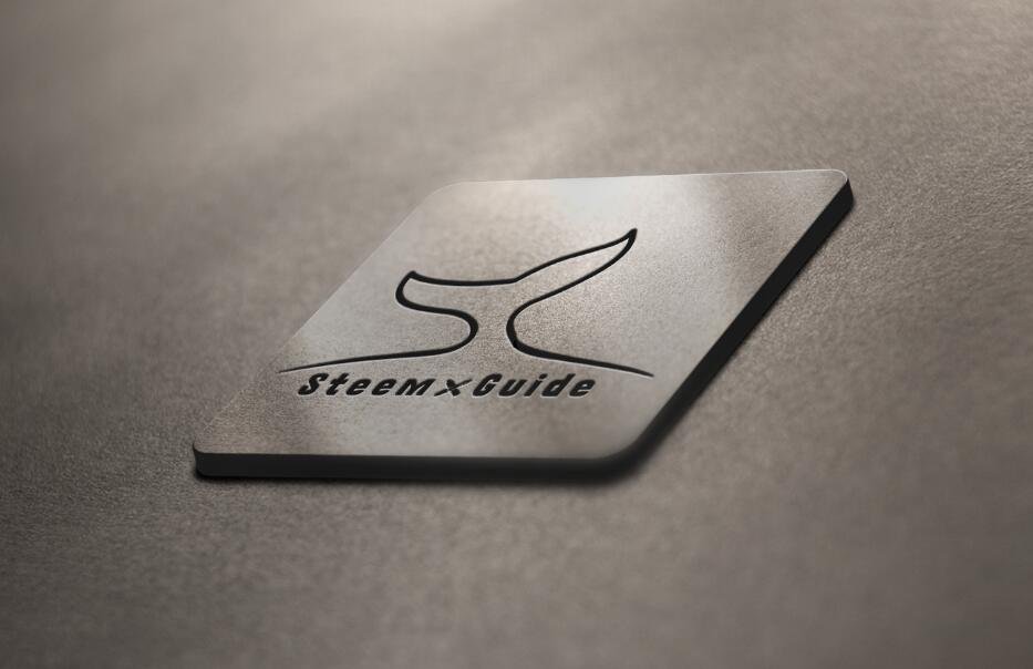 参与《Steem指南》与《Steem Engine手册》的编撰和修订