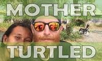 Turtled.jpg