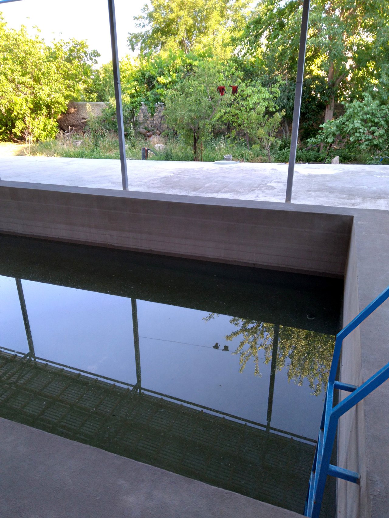 20200614_183933.jpg