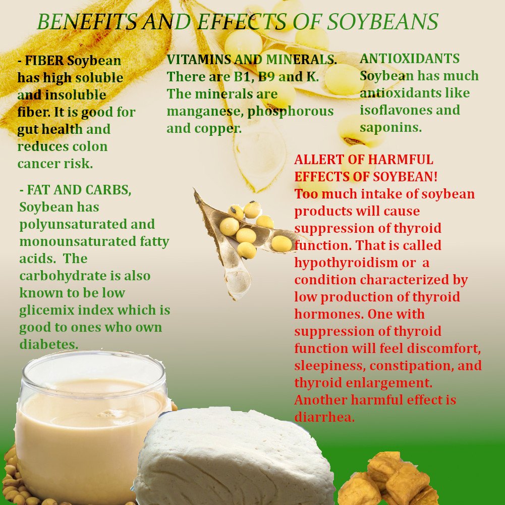 Soybean Benefit For Your Health