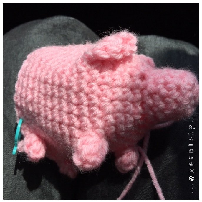 piggyprogress.jpg