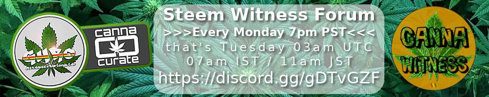 CannaWitnessForum.png