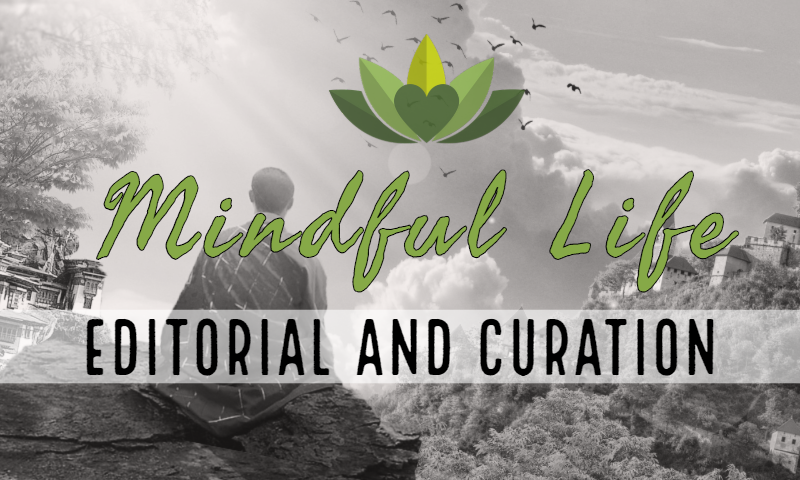 Mindful Eating: How Simply Slowing Down Can Heal Your Body and Mind