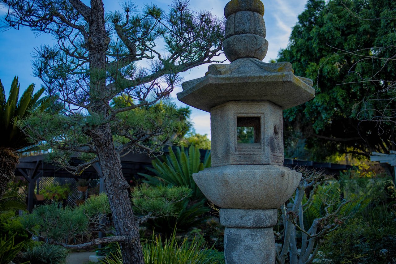 South Coast Botanic Garden Palos Verdes California Steempeak