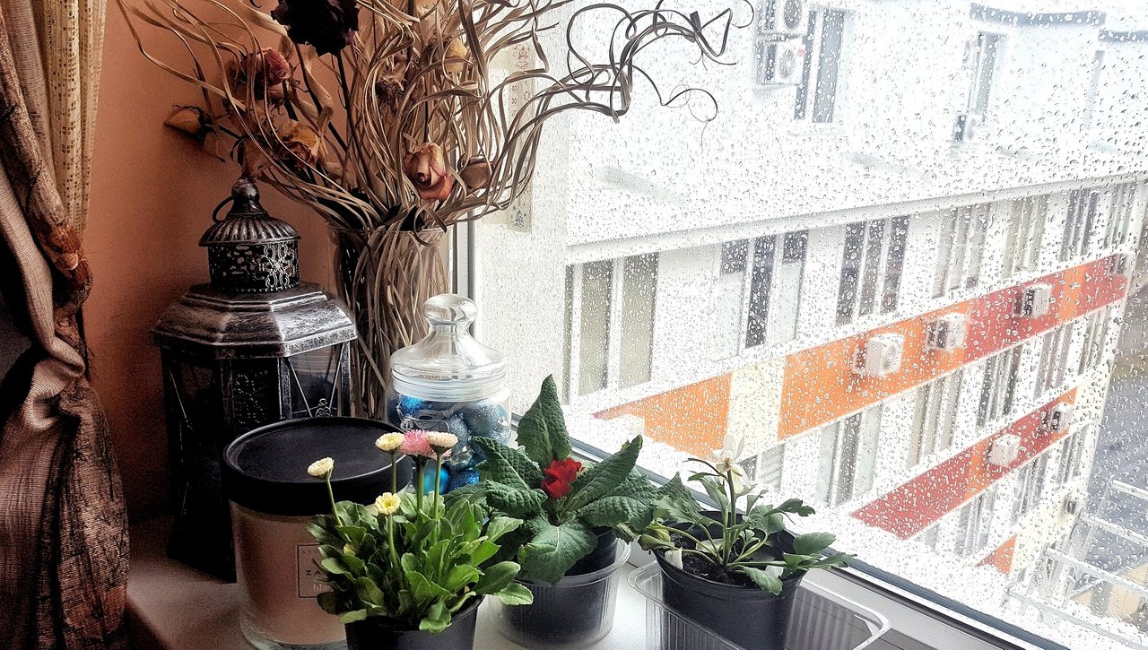 20190415_14411001.jpeg