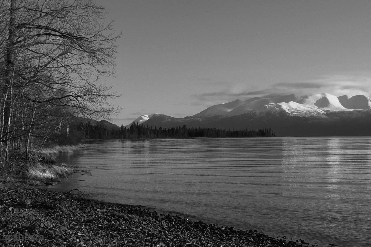 shasta2020april3rd47stones7io.jpg