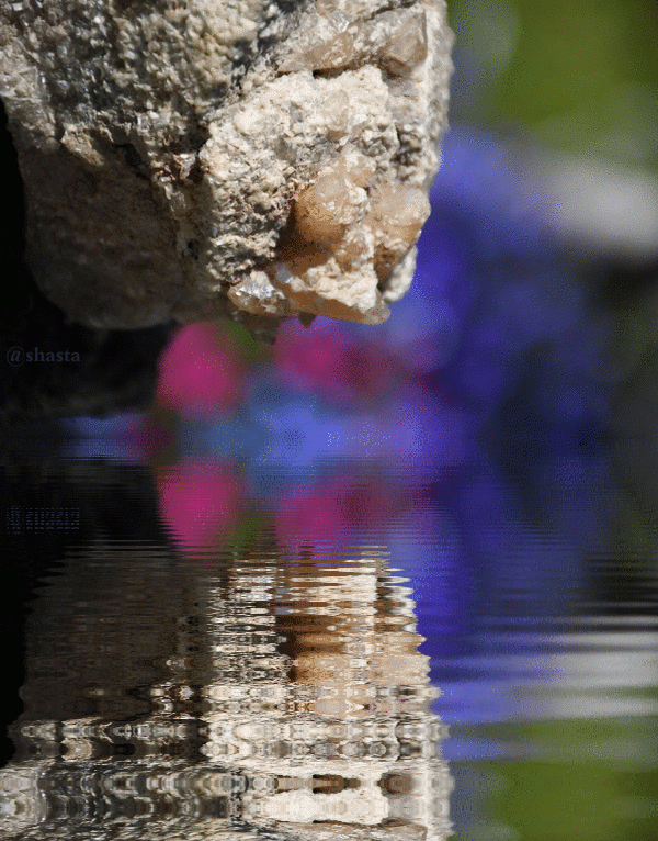 shasta2019aug2nd47crystals11io.gif