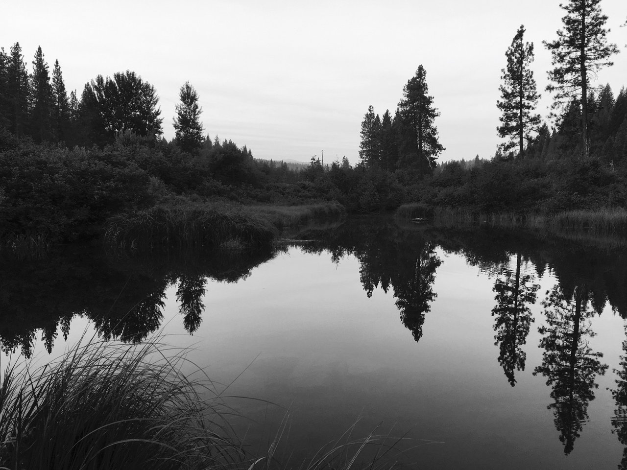 Memories of White Pond