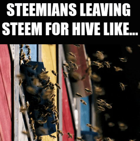 steemians leaving steem for hive like.gif