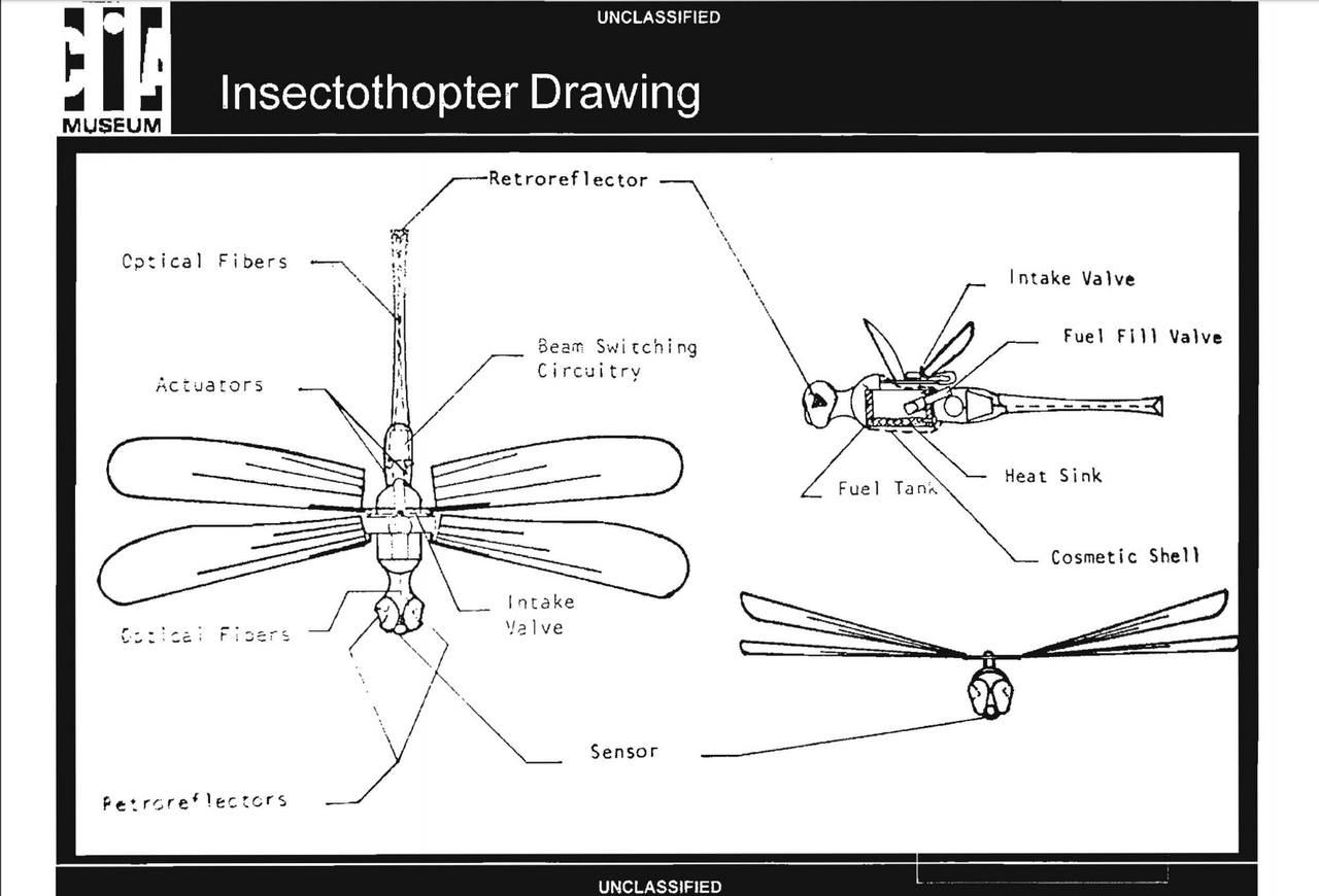 insectothoptercia pic2.png