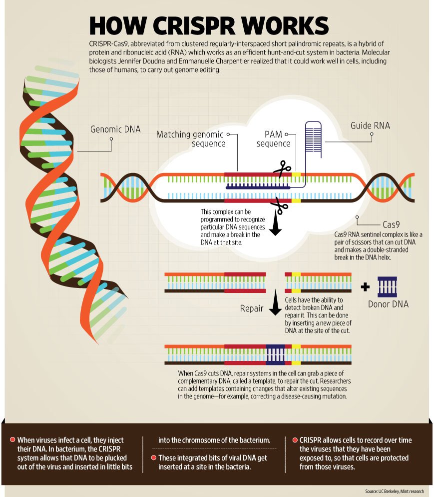 New Crispr Tool Alters Rna For Wider Gene Editing Applications Alters Hot Sex Picture 1491